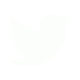 twitter-white