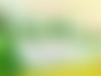 독특한 포인트가 많은 2024 달랏시 아오자이 축제