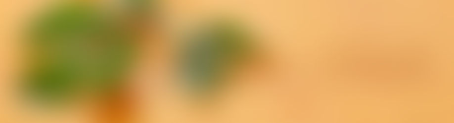 CREMA DE AUYAMA | CALABAZA