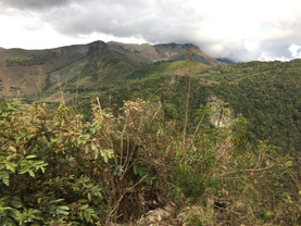 IMG_2705.jpeg