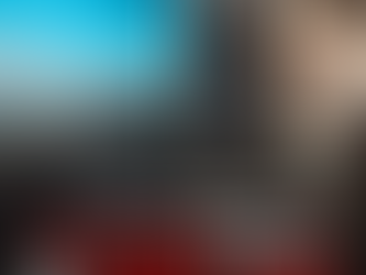 Incendio forestal en Girón dejó en crisis a fundación que tenía más de 120 animales a su cuidado