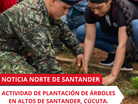 Actividad de plantación de árboles en Altos de Santander, Cúcuta