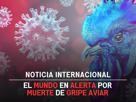 El mundo en alerta por muerte de gripe Aviar