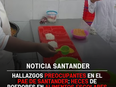 Hallazgos preocupantes en el PAE de Santander: heces de roedores en alimentos escolares