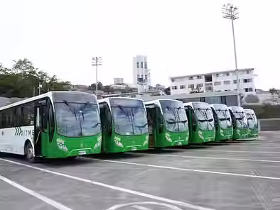 metrolinea.avif