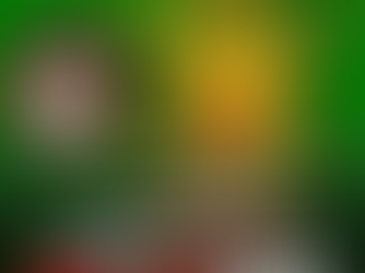 Descubren nueva especie de orquídea en Boyacá y Santander nombrada en honor a Jorge Velosa