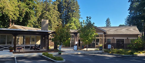 cropped building.jpg