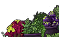 garden.png