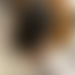 Wedding Hair Trial Ideas