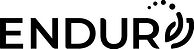 Endur logo.jpg
