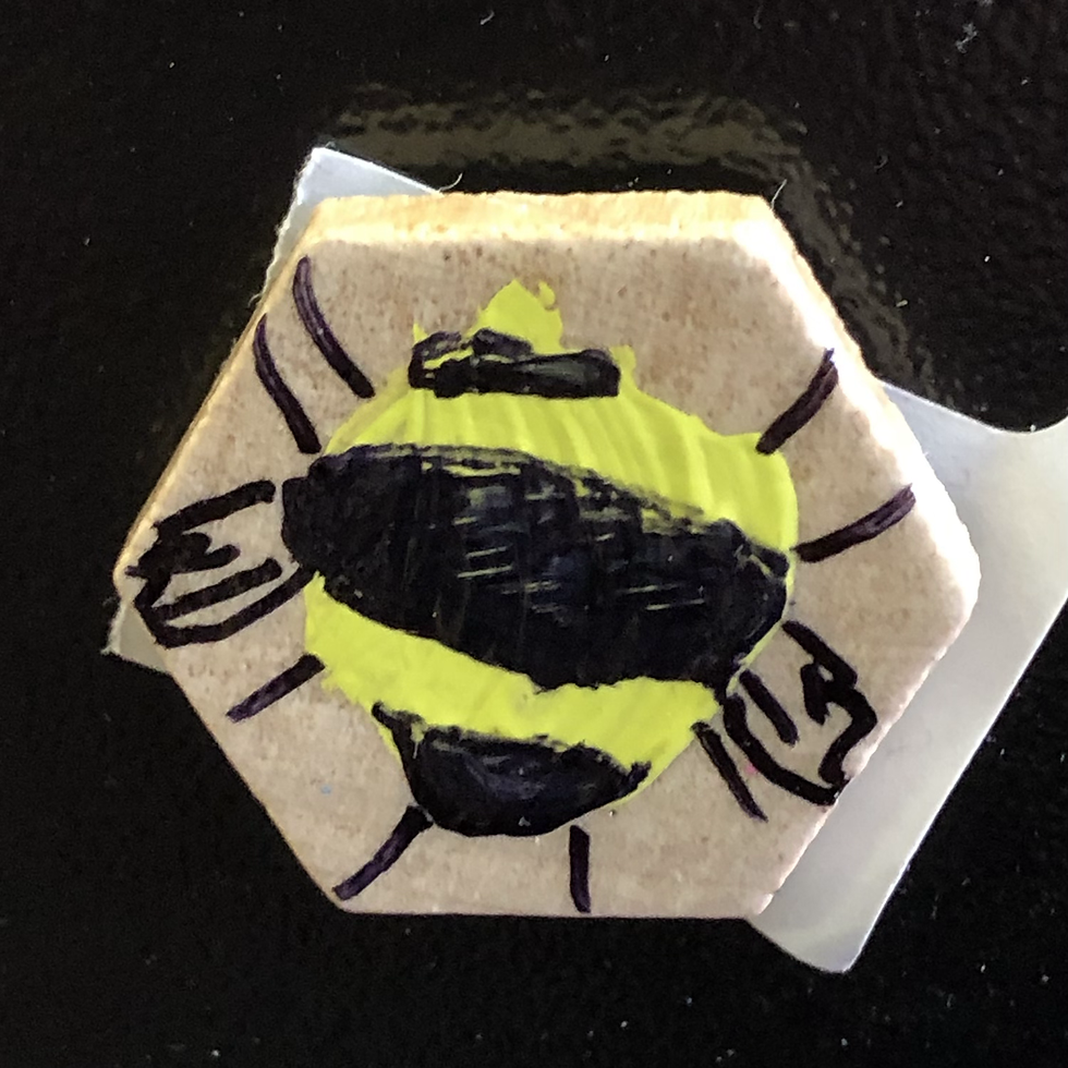 Thumbnail: Insect Magnets