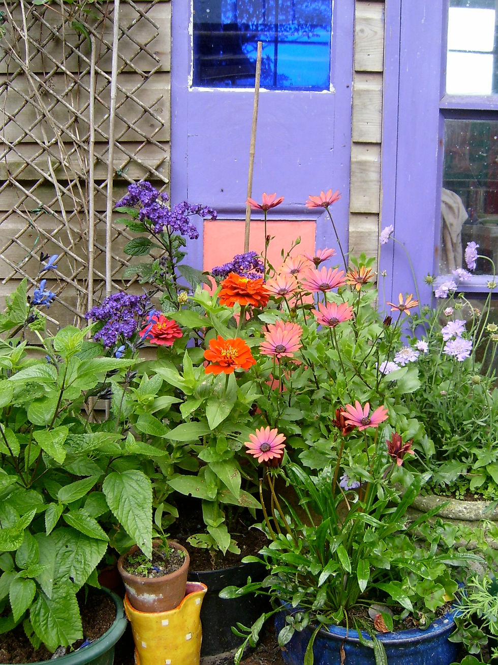 spring time inspiration