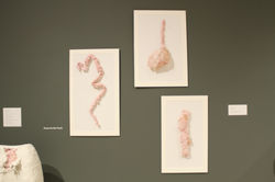 Hiraeth of the Body, 2015