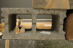 Hiraeth of the Body, 2015