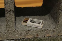 Hiraeth of the Body, 2015