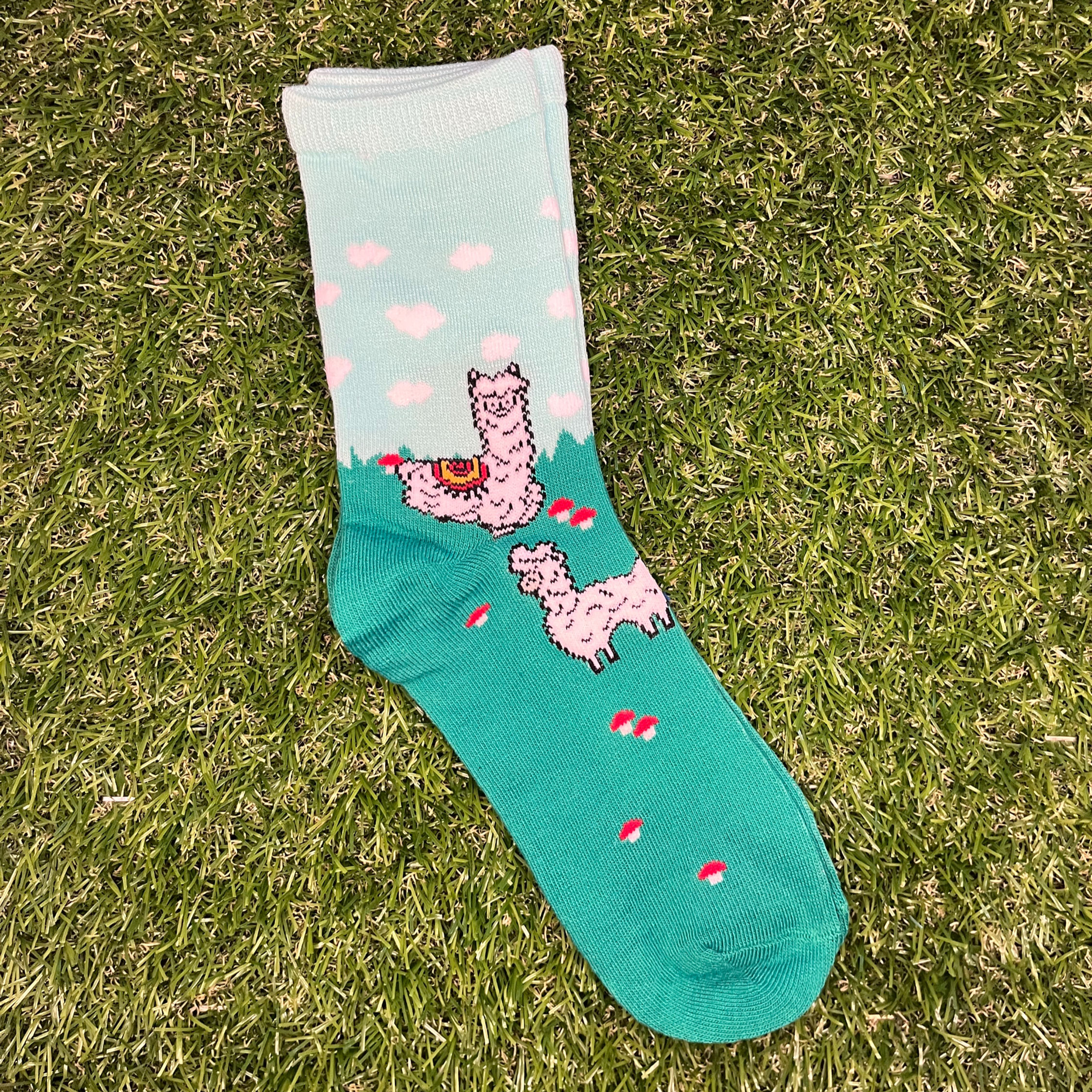 Field of alpacas socks