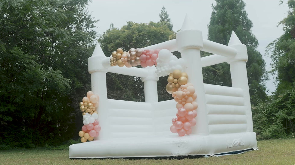 Blux Inflatables Luxury Bouncy Inflatables Atlanta, GA, USA