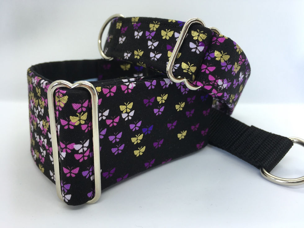 Thumbnail: Gold, purple, pink mini butterflies martingale and house collar for dogs (e.g. greyhound, whippet, lurcher, sighthound)