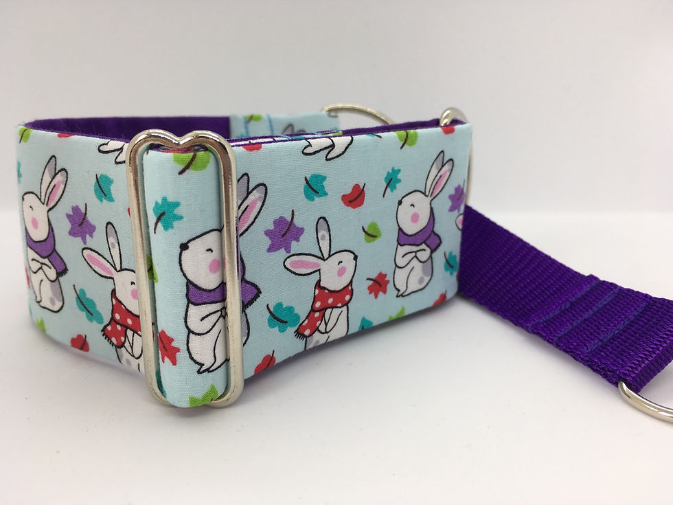 Blue, Red, Purple Rabbits - martingale collar for dogs (greyhound, whippet, lurcher).