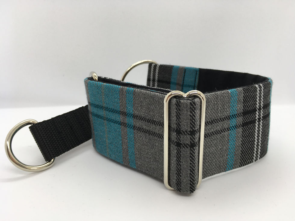 Grey and turquoise tartan - martingale collar for dogs (greyhound, whippet, lurcher).