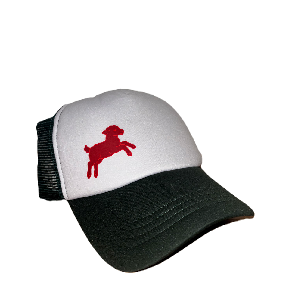 Thumbnail: HELMET