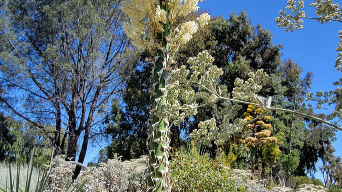 20210615_105829.jpg