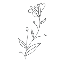 Illustration of a flower - Birth Gardens