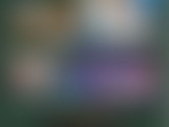 【新着動画】ルーマニア医学部留学に関するYouTube動画を5本公開しました!