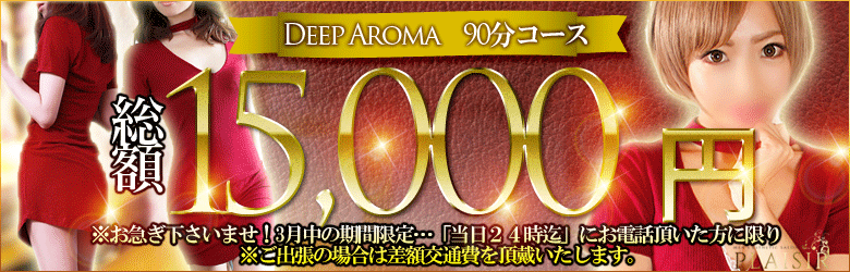 プレジール 15000円 ポッキリ.gif