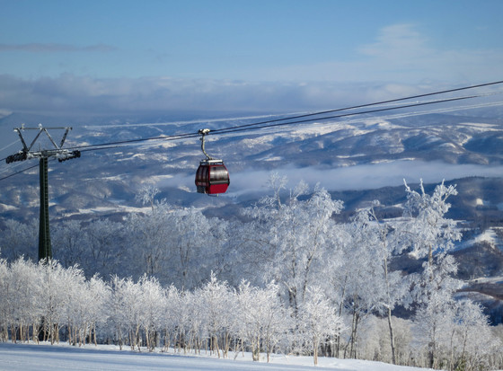 JapanSkiFamily.com is LIVE!