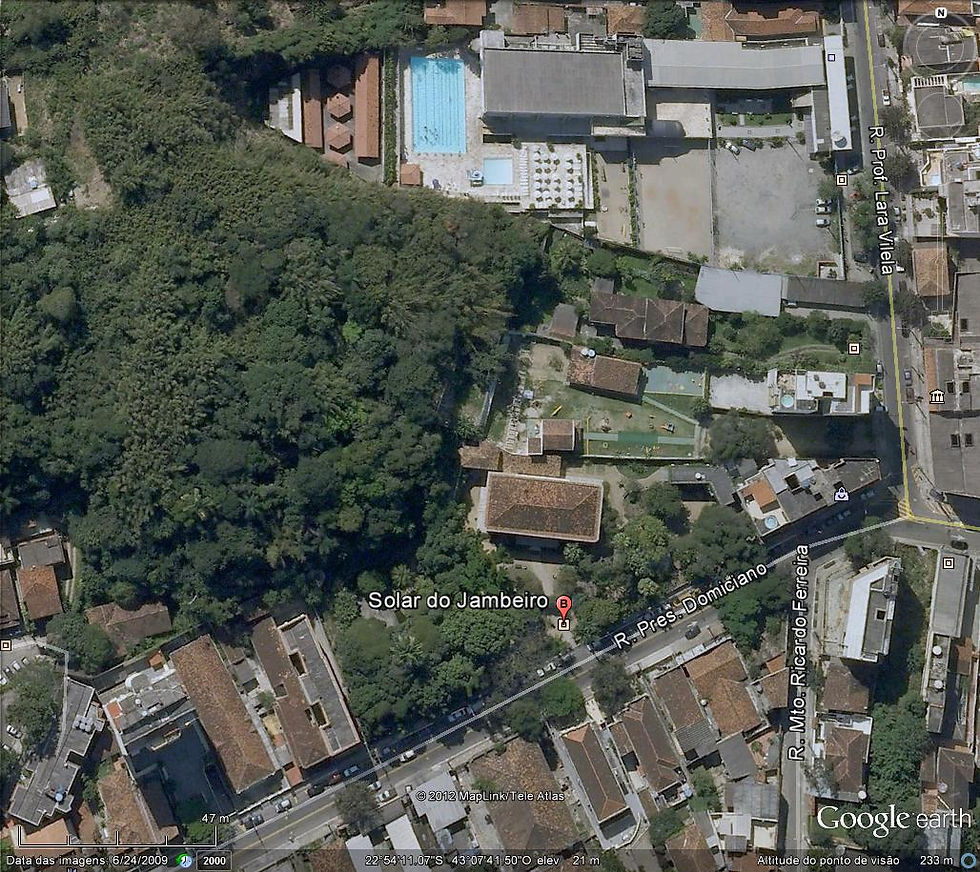 A árvore e o pintor- o jambeiro do Solar