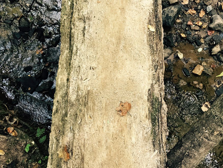 Liminal Space