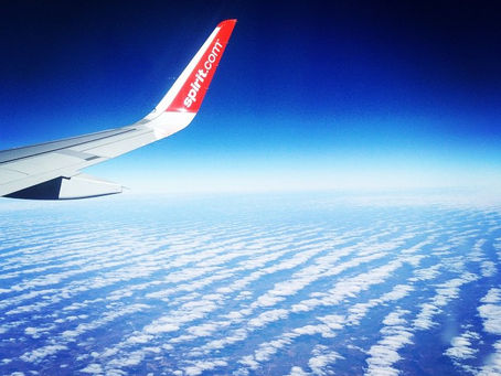 Dreams: Flight