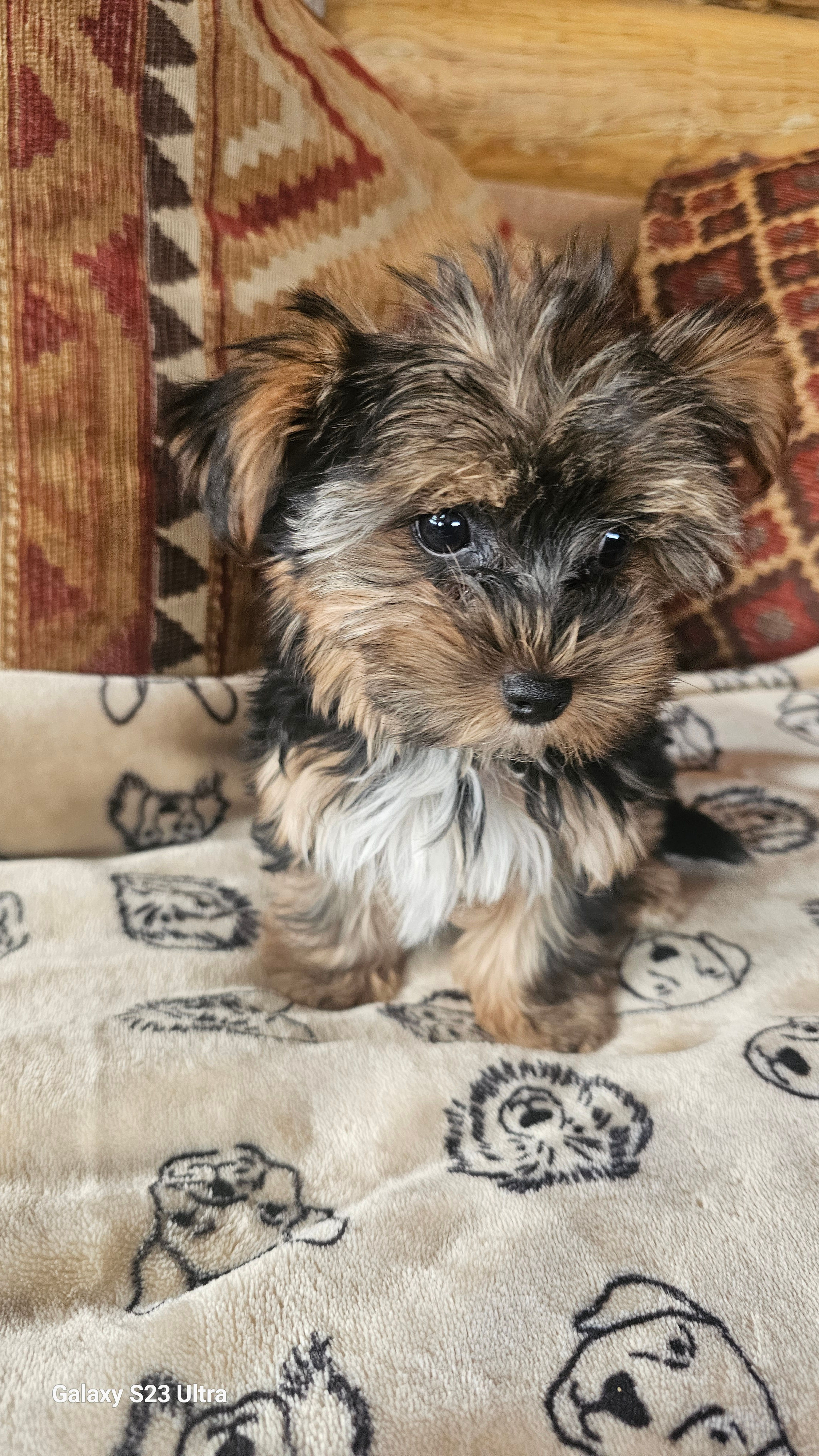 Traditional female toy