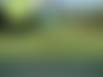 Summer Newsletter 2017