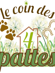 Association animale Le Coin des 4 Pattes