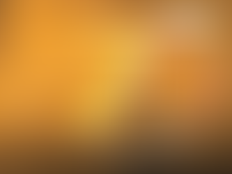 La pubblicazione per i 70 anni del Cineforum