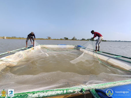 Elakkanthai Tank – Inland Fishing Initiative