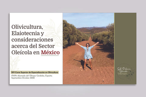 diseño de presentaciones