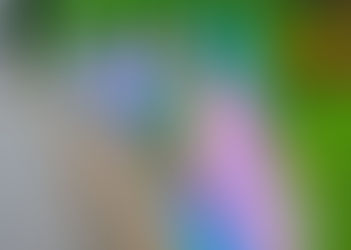 Why 4 Public Education Stands with the Districts who Protect Transgender and Non-binary Students