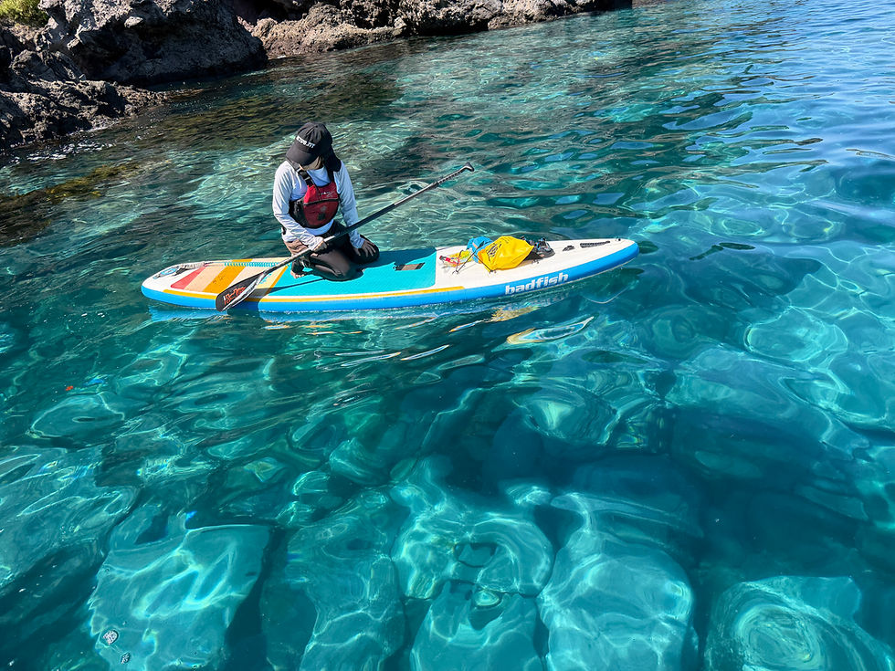 本日も海～💙
