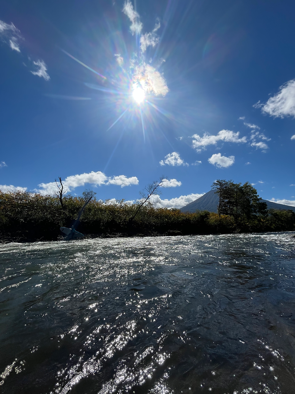 ニセコリバーサップ