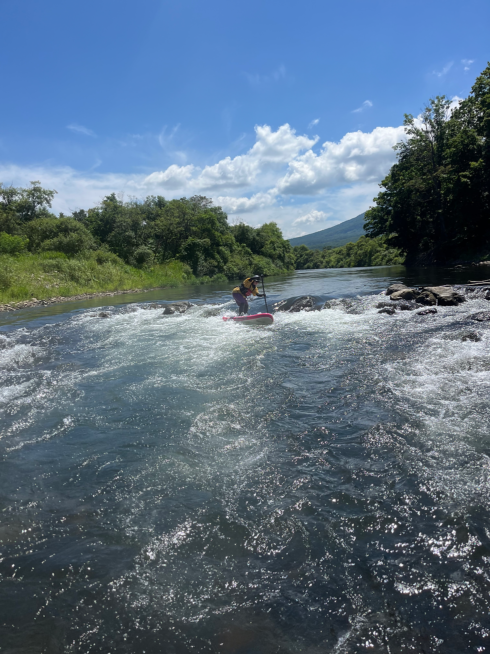 ニセコの激流でサップ