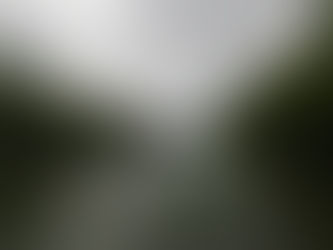 2020年7月15日午前ツアー