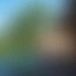 モールテックス NOT A HOTEL 那須施工事例外観　オフィスTAKAHATA 外壁