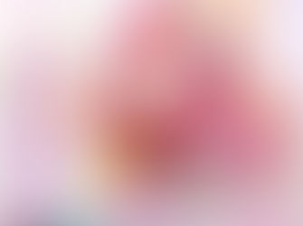 プリザ vol.9 掲載