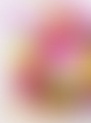 花時間 2018春掲載