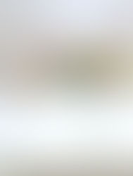 インターネット公開文化講座 初夏を感じて~透明感~