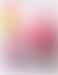 花時間プリザVol.10 掲載