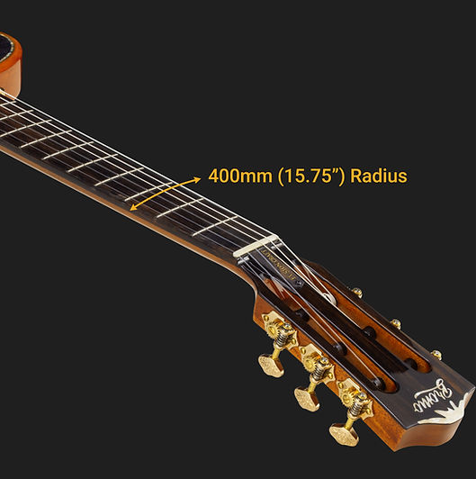 fingerboard tbk.jpg